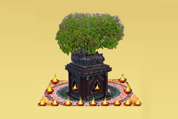 Tulasi-Kota-Deepa-Puja